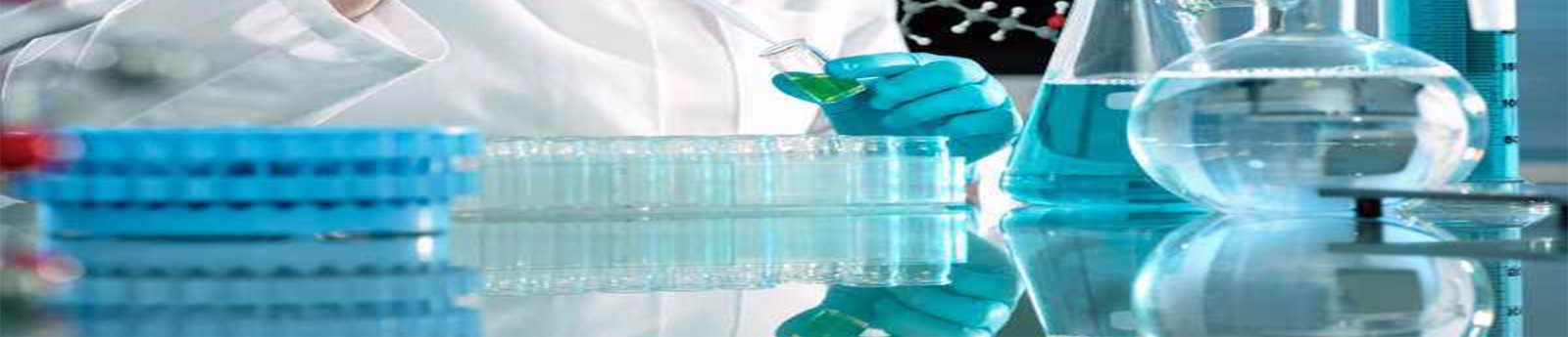 抗體定制服務(wù)