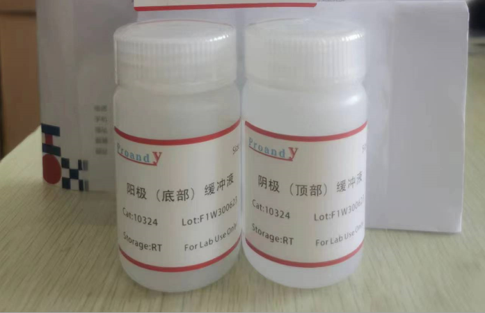 1689753408652556.png TrisCAPS 半干轉(zhuǎn)轉(zhuǎn)膜緩沖液.png