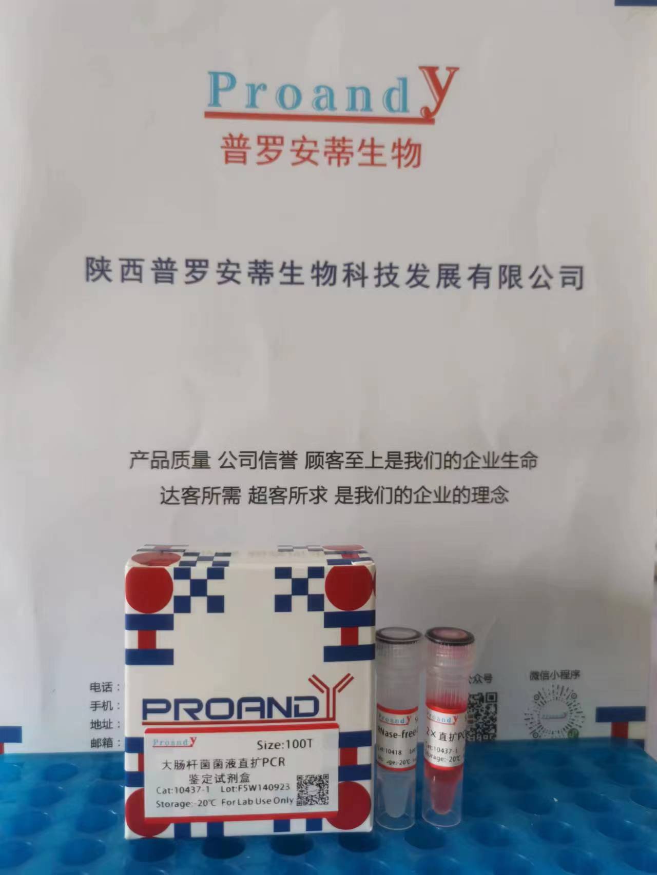 1695865762792962.jpg 大腸桿菌直擴(kuò)PCR.jpg