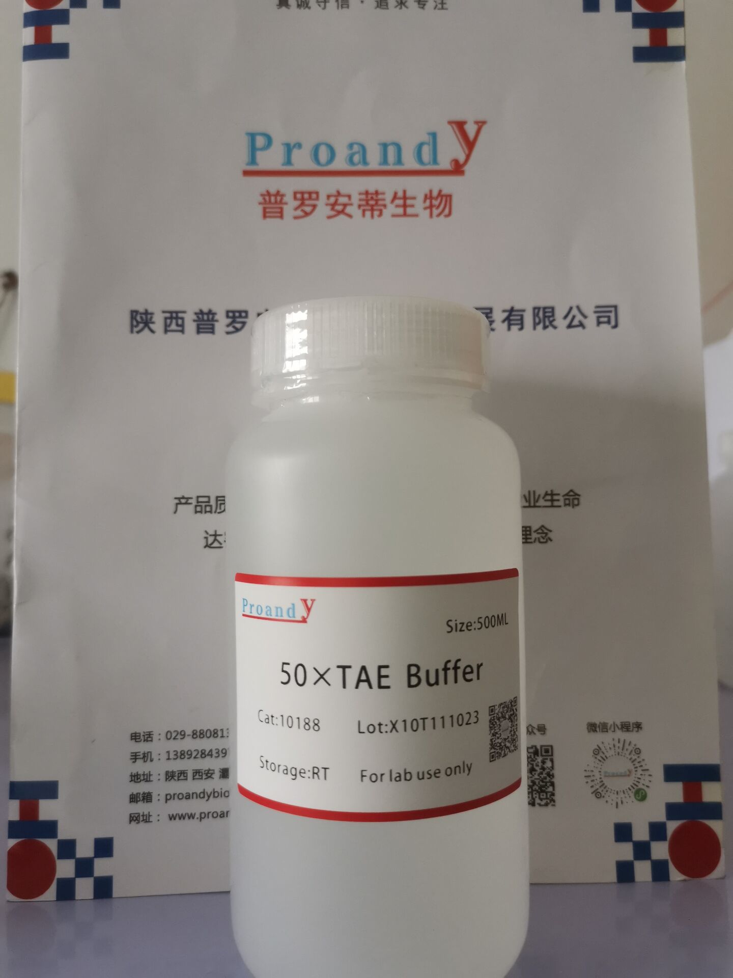 1697014092585930.jpg 50xTAE.jpg