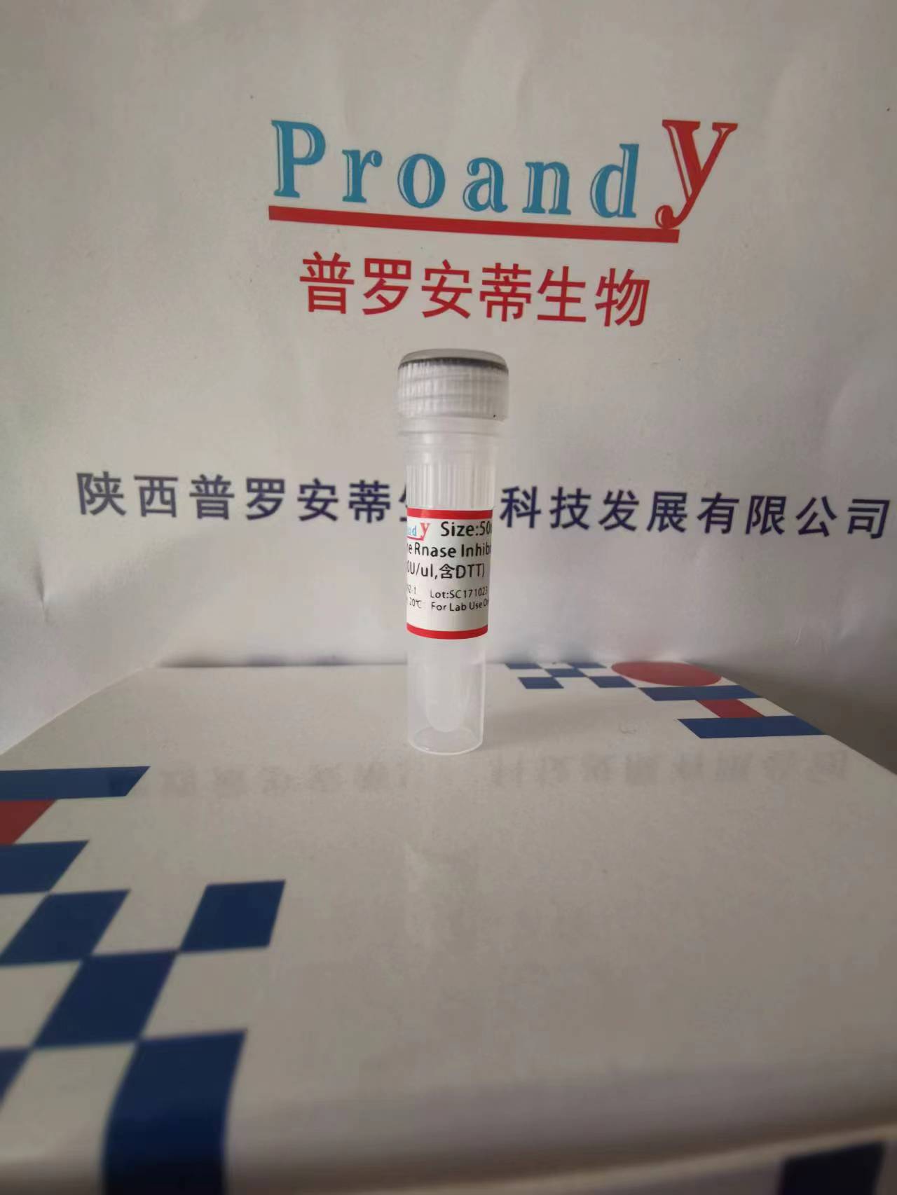 1698107707656405.jpg 鼠源RNAase抑制劑(含DTT).jpg