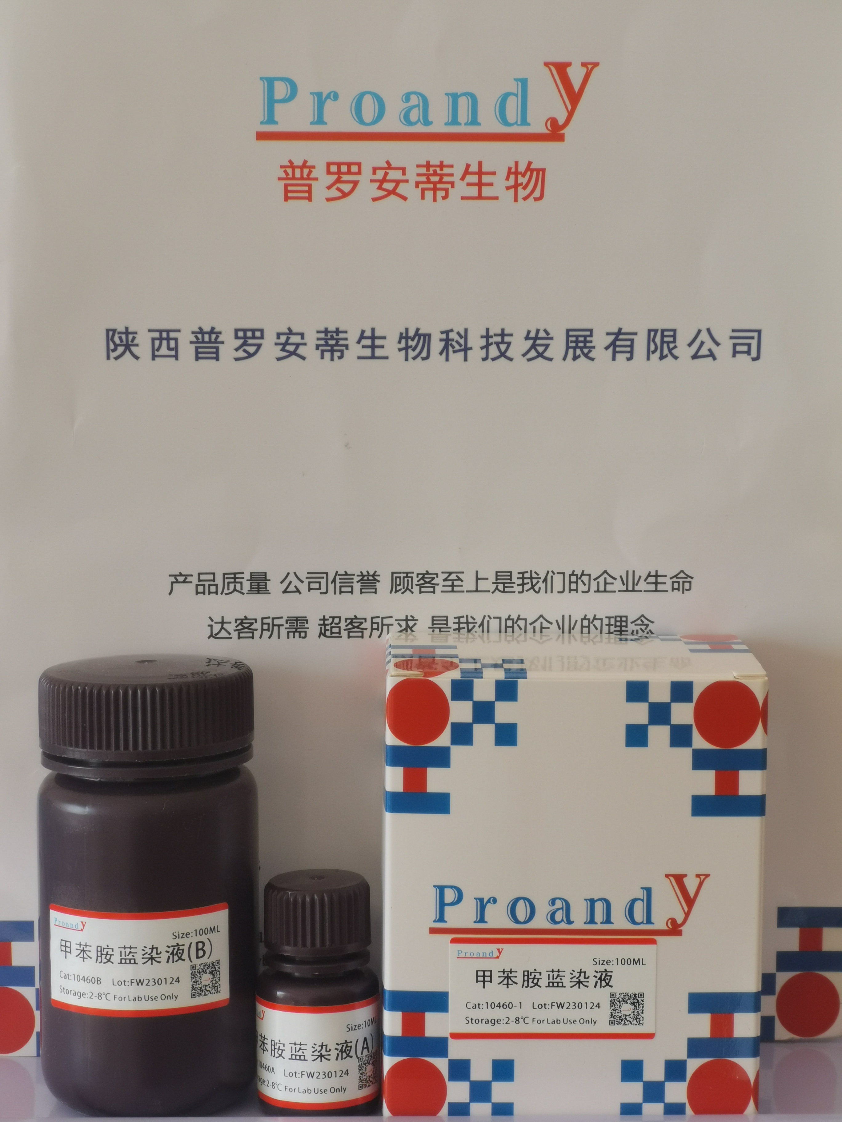 1705904647402777.jpg 甲苯胺藍染液.jpg