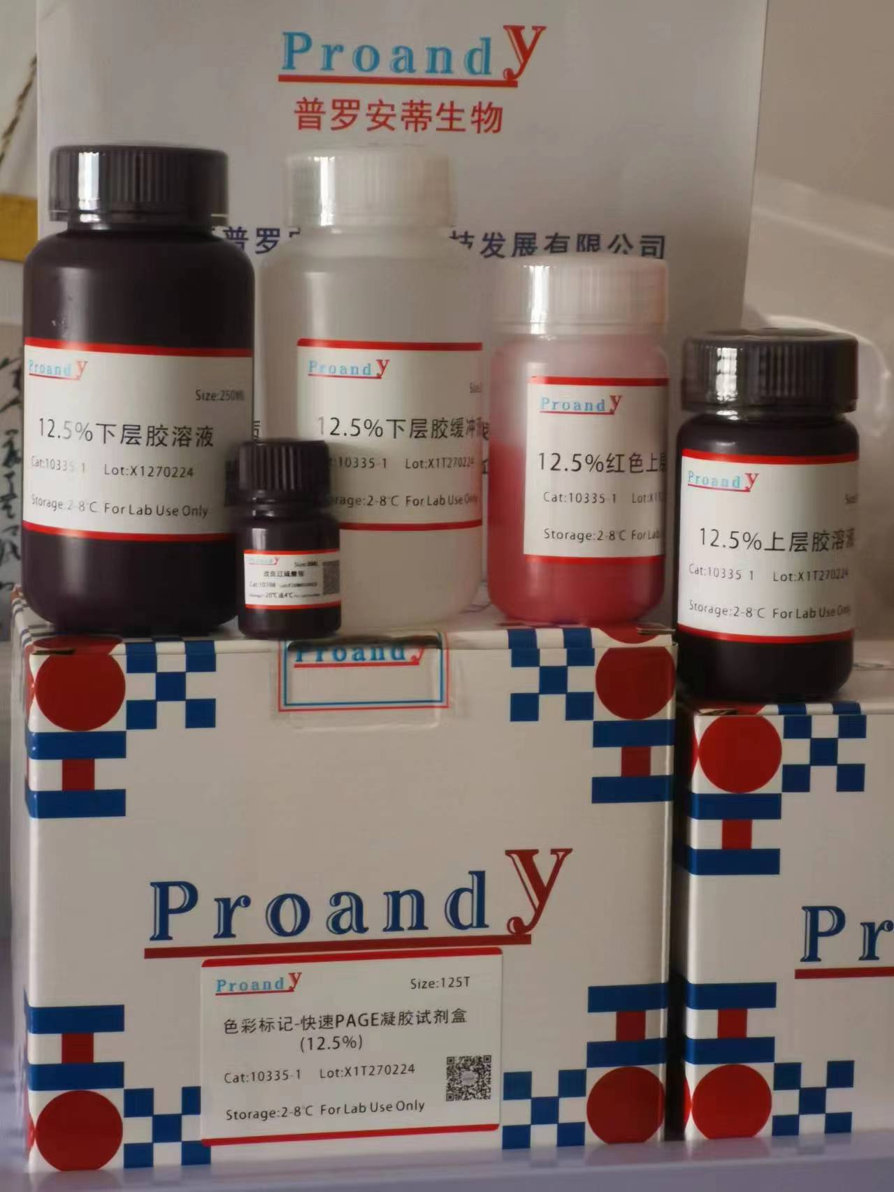 1709026281288395.jpg 12.5-1.jpg