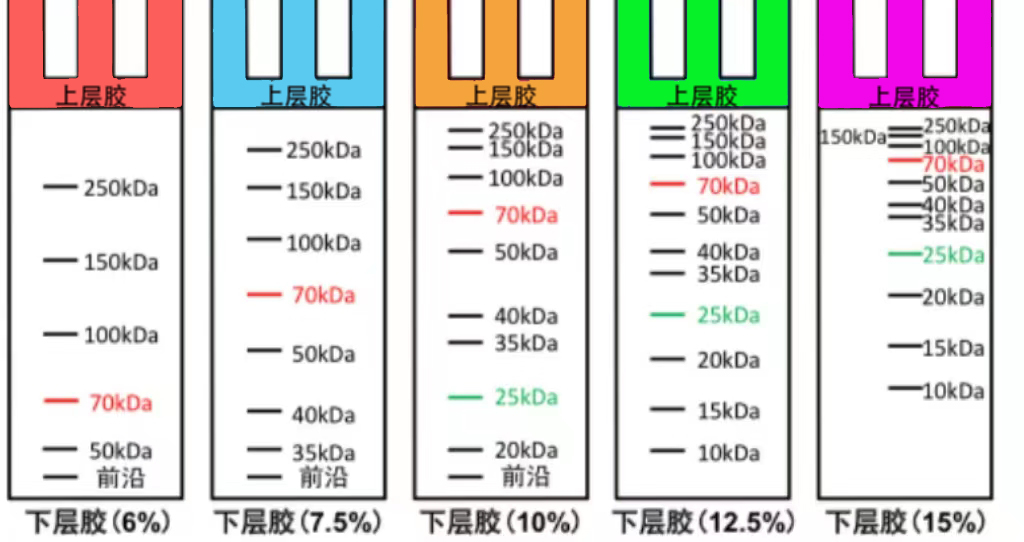1718158153465733.jpg ba21dc215f29036f13af610d95898e6.jpg