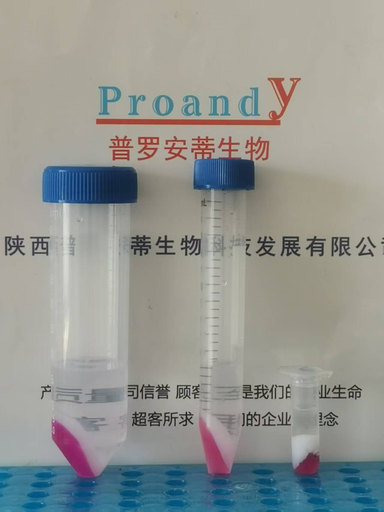 1742185141254170.jpg 2ml-15ml-50ml.jpg