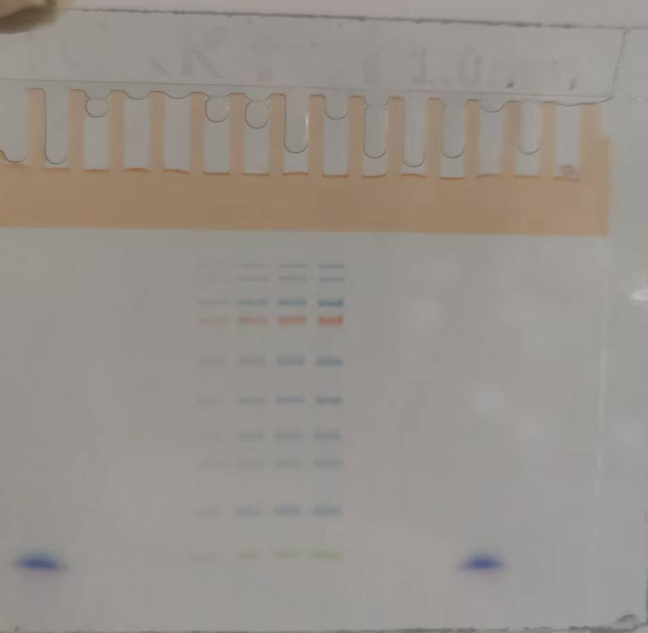 1756375730656377.png image.png